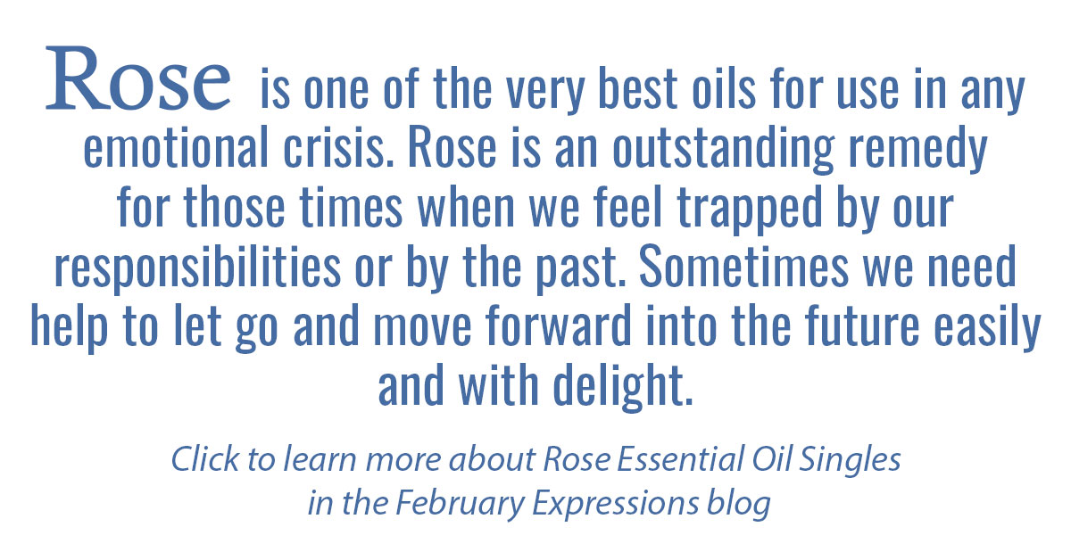 Rose Essential Oil Singles Info