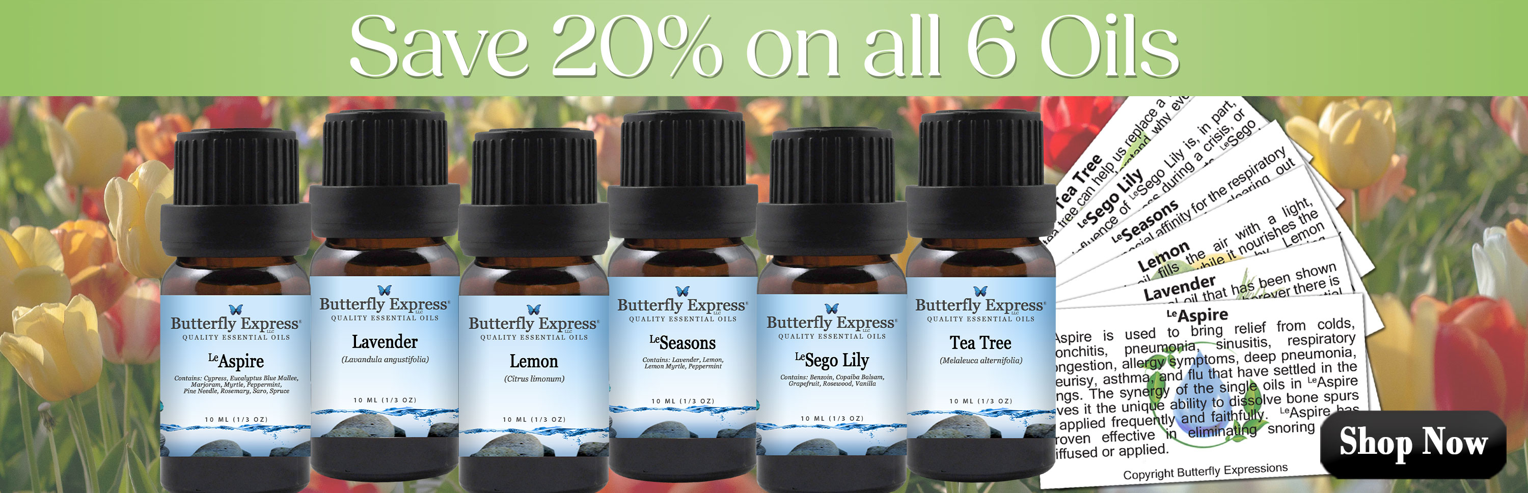 6 Oil Monthly Special