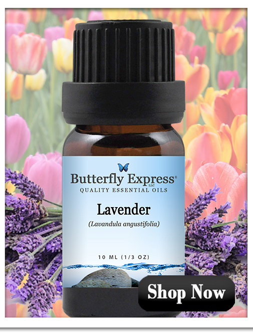 Lavender Angustifolia Essential Oil Single