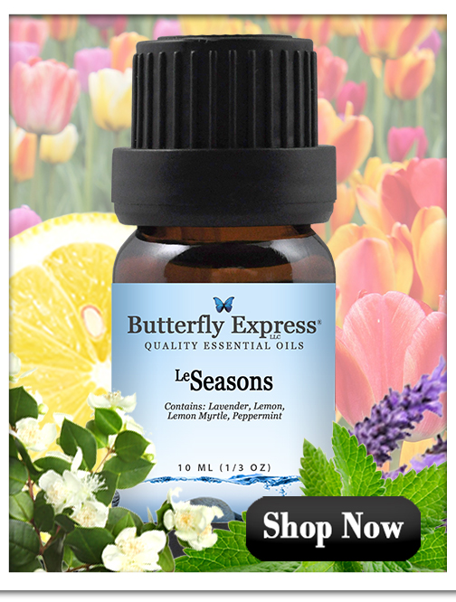 Seasons Essential Oil Blend