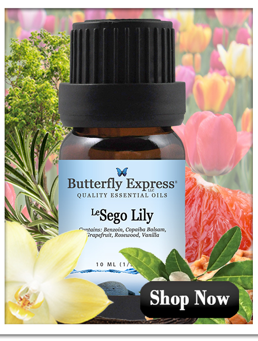 Sego Lily Essential Oil Blend
