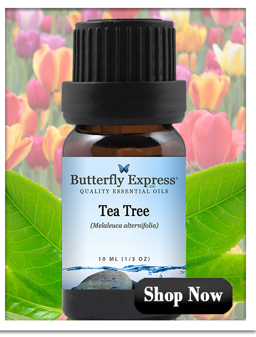Tea Tree Essential Oil Single
