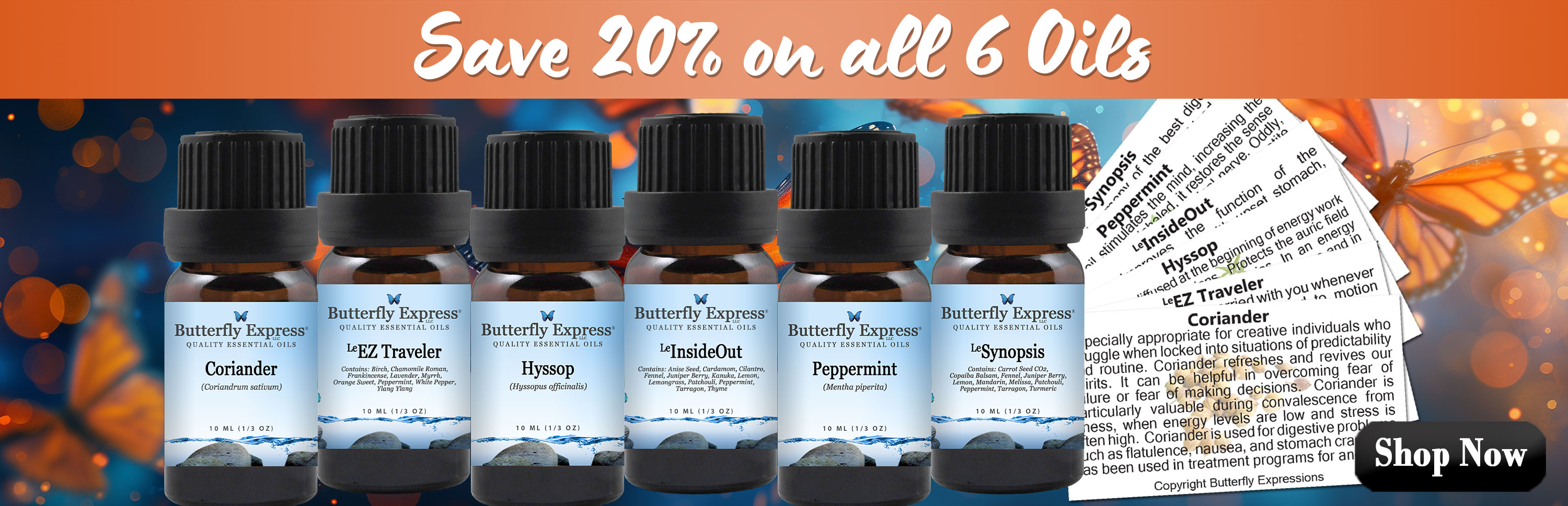 6 Oil Monthly Special