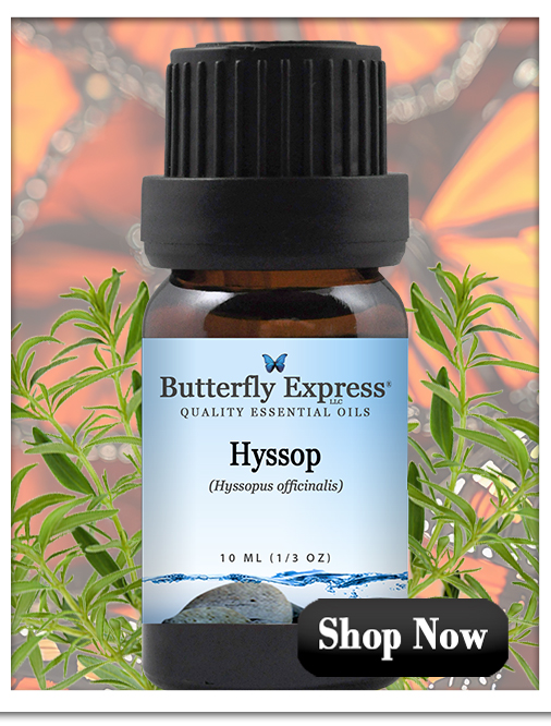 Hyssop Essential Oil Single