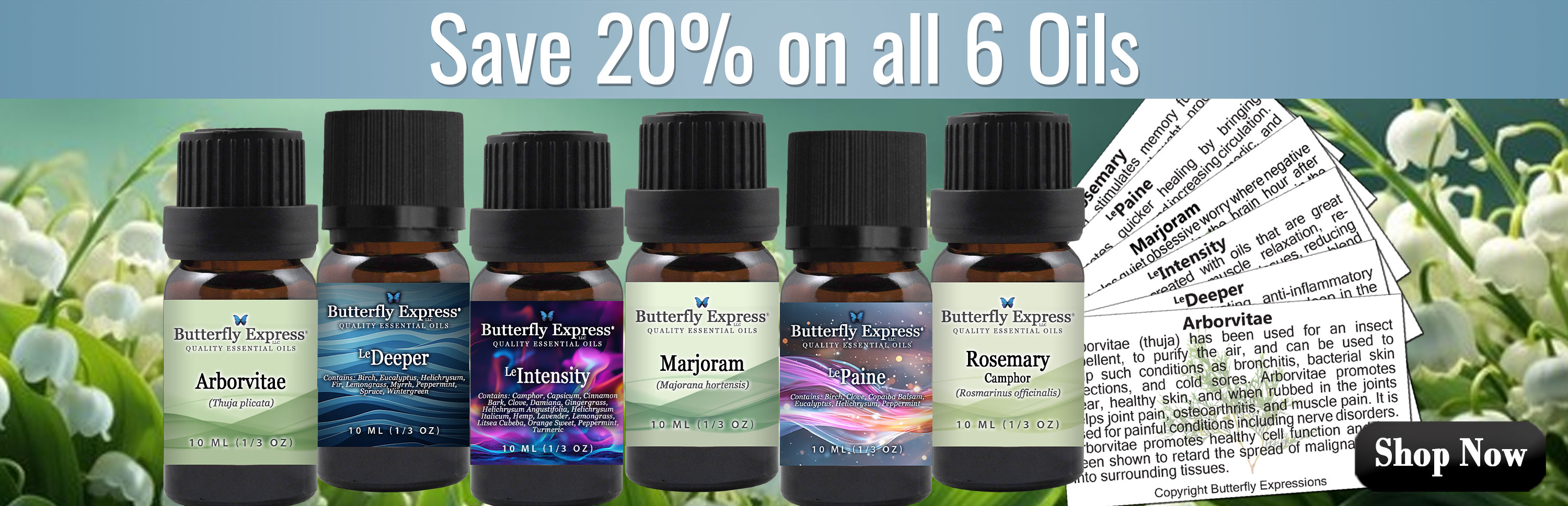 6 Oil Monthly Special