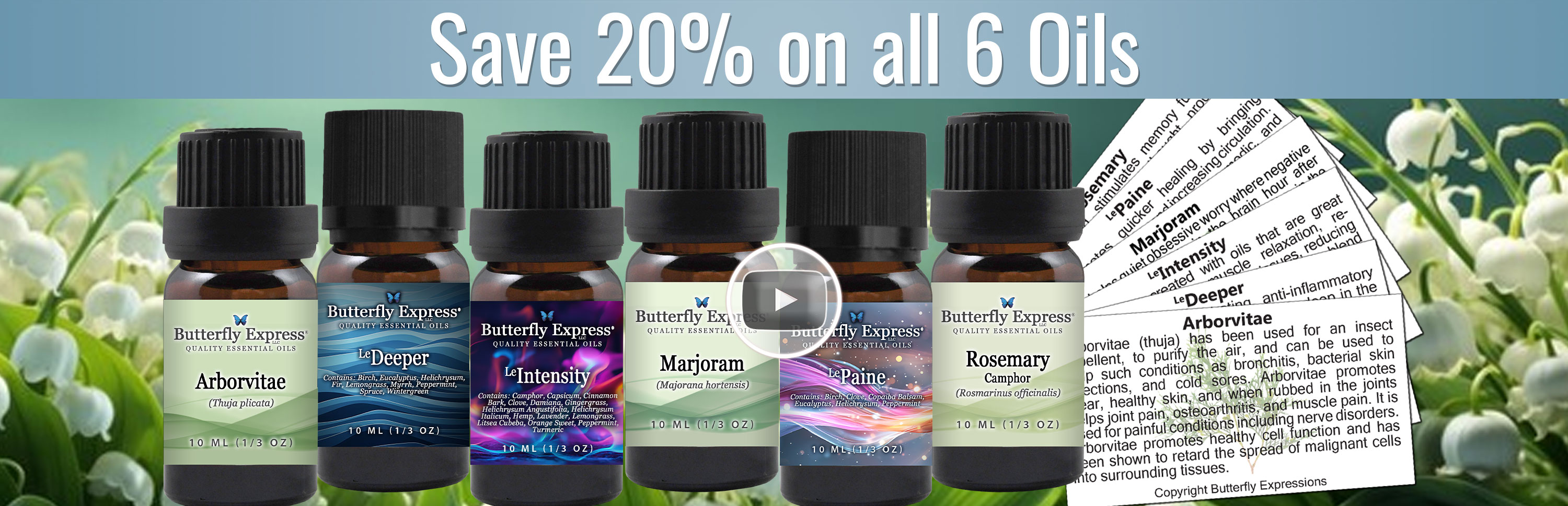 6 Oil Monthly Special