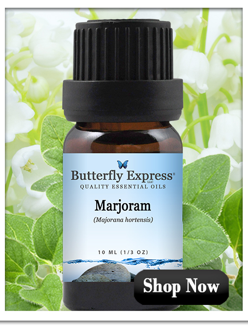 Marjoram Essential Oil Single