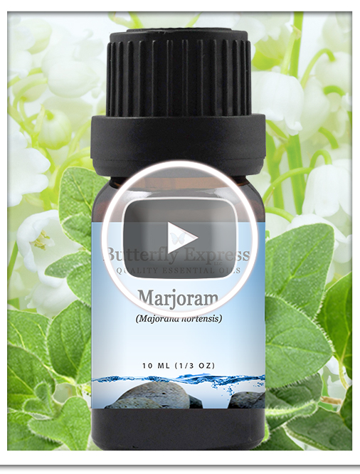 Marjoram Essential Oil Single