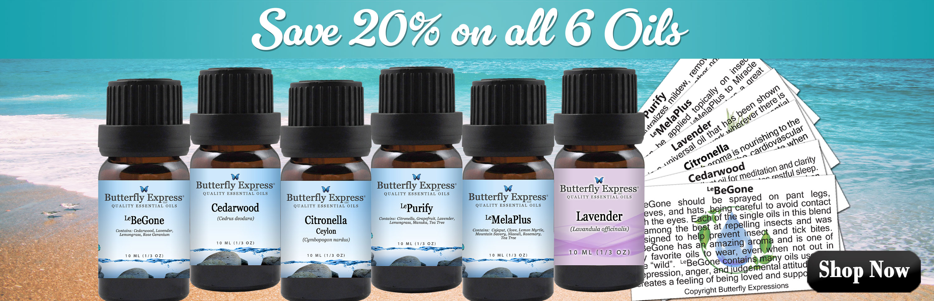 6 Oil Monthly Special