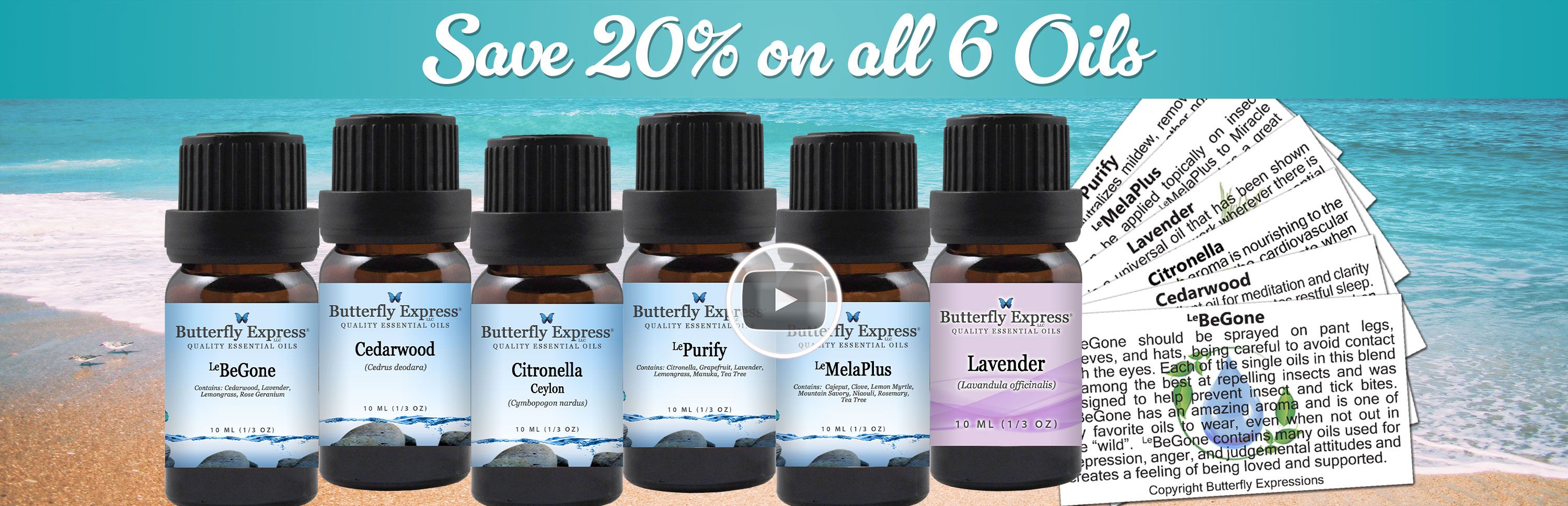 6 Oil Monthly Special