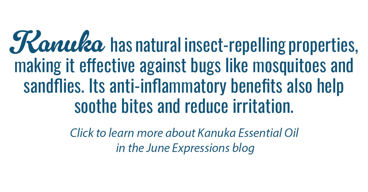 Kanuka Essential Oil Single Info