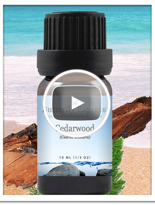 Cedarwood Essential Oil Single