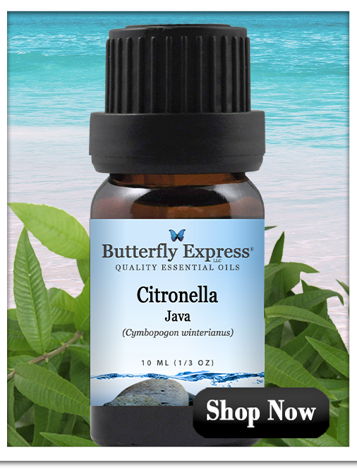 Citronella Essential Oil Single