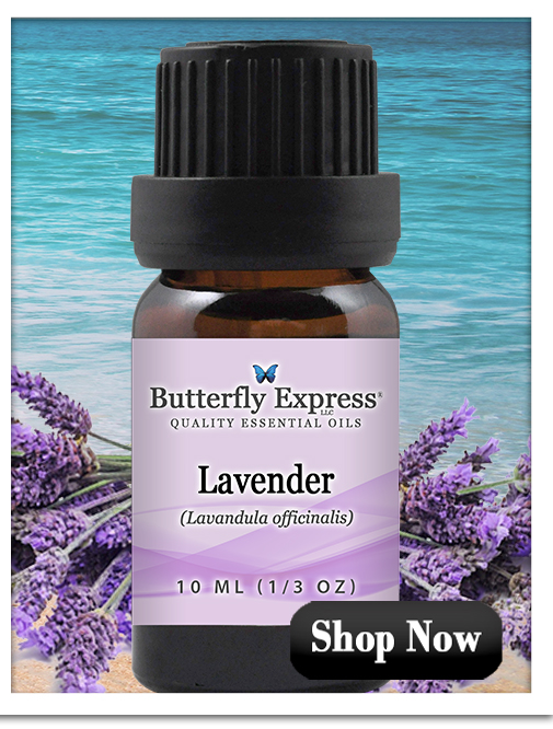 Lavender Essential Oil Single