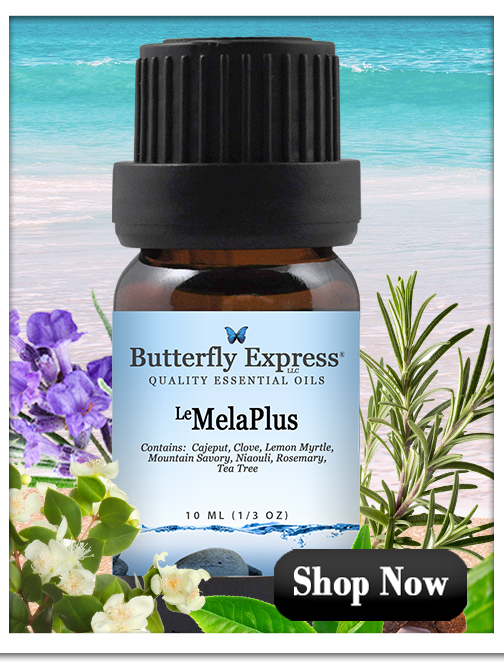 MelaPlus Essential Oil Blend
