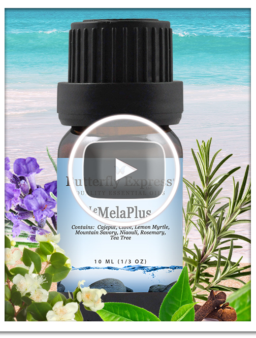 MelaPlus Essential Oil Blend