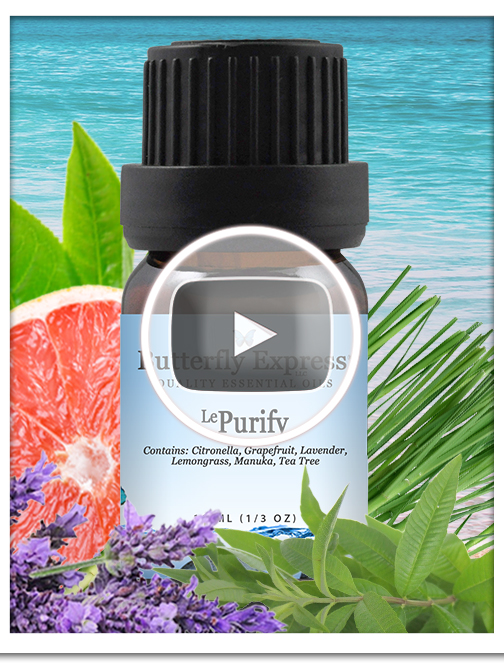 Purify Essential Oil Blend