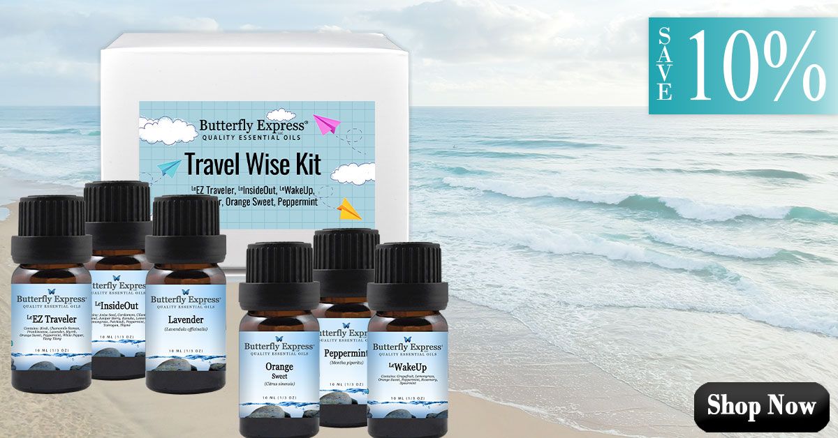 Travel Wise Kit