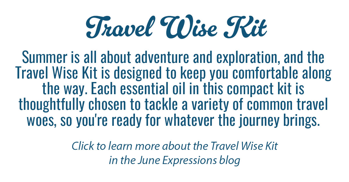 Travel Wise Kit Info