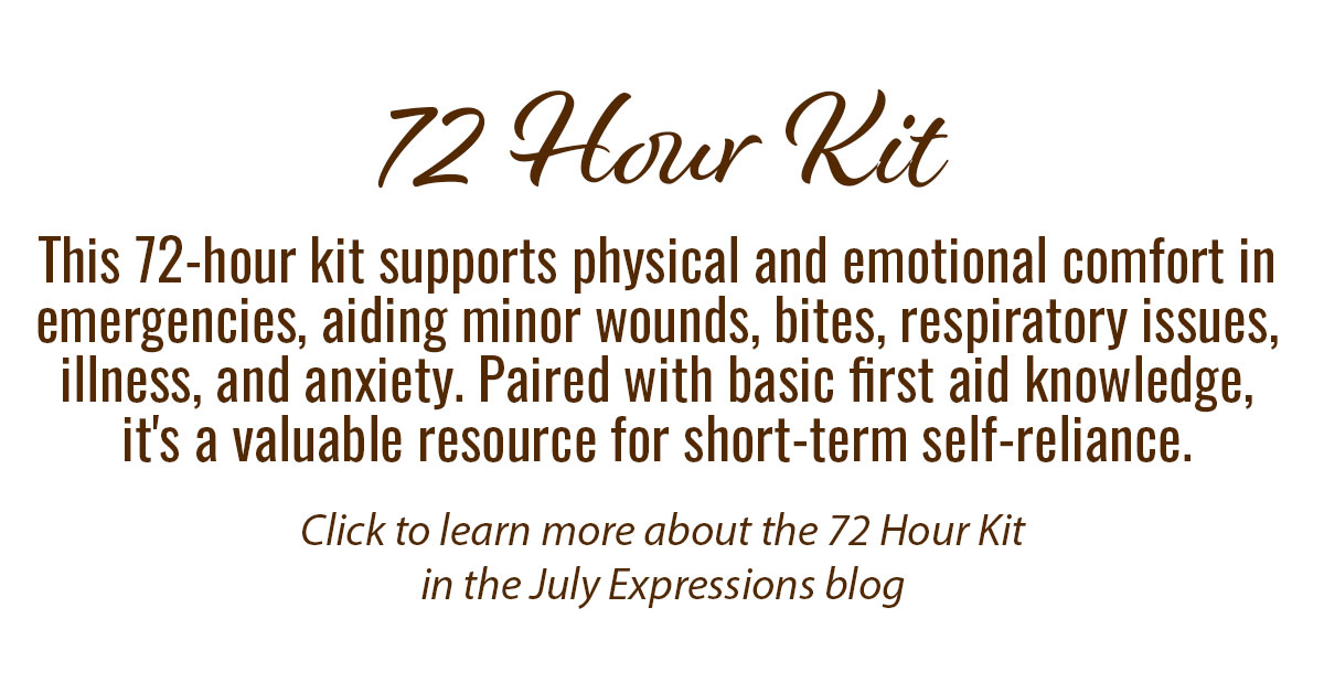 72 Hour Kit Info