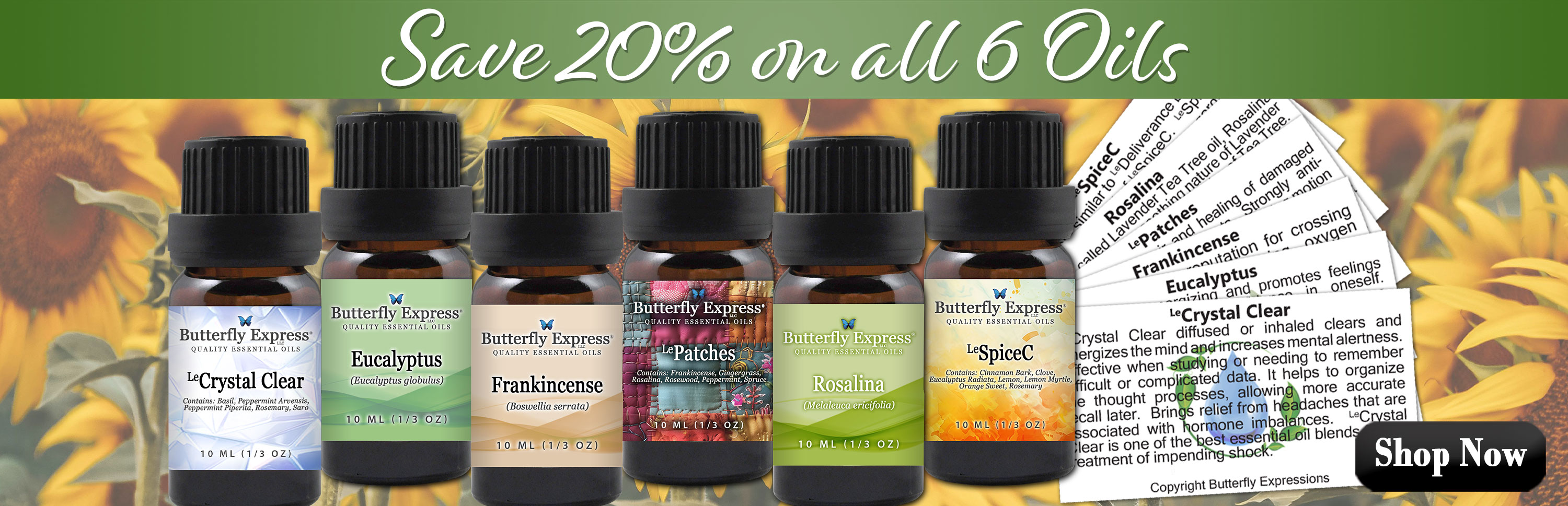 6 Oil Monthly Special