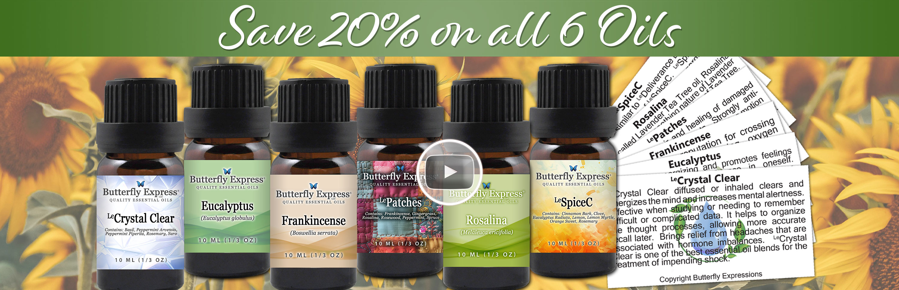 6 Oil Monthly Special