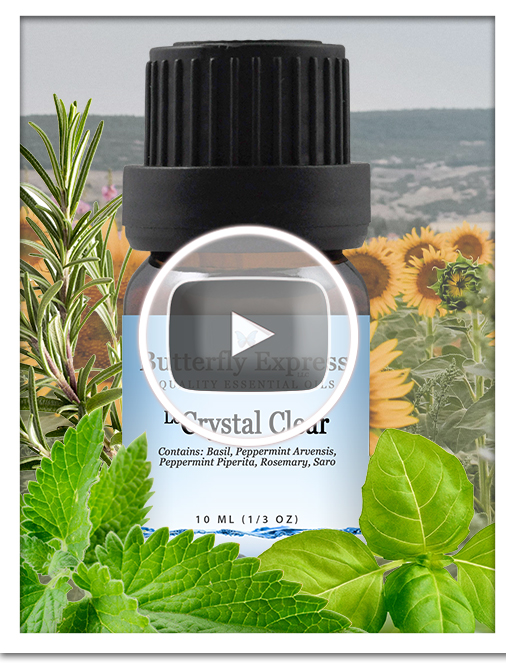 Crystal Clear Essential Oil Blend