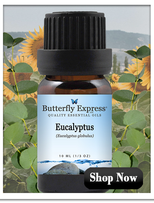 Eucalyptus Essential Oil Single