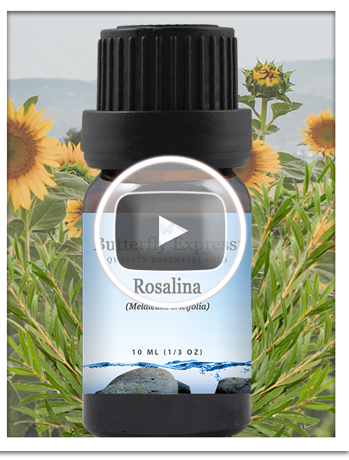 Rosalina Essential Oil Single