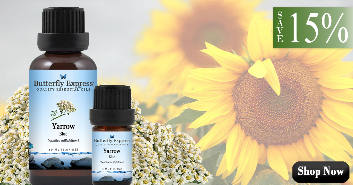 Yarrow Blue Essential Oil Single
