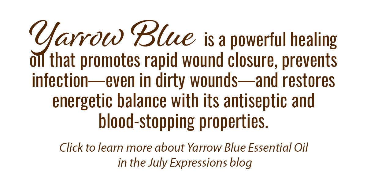 Yarrow Blue Essential Oil Single Info