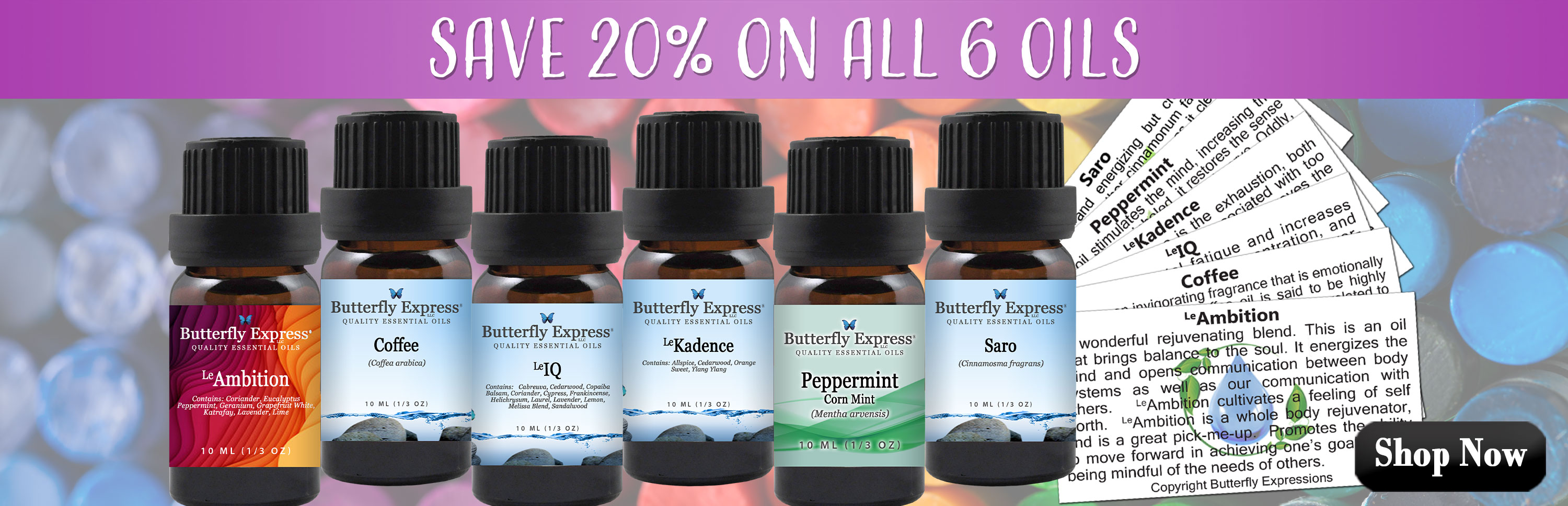 6 Oil Monthly Special