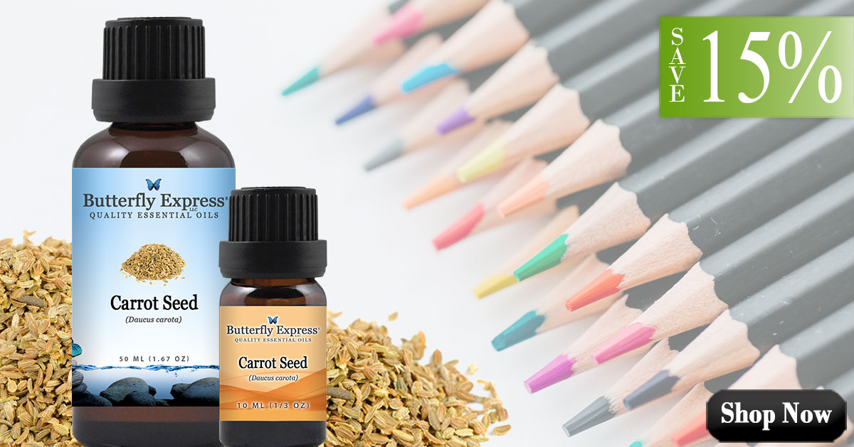 Carrot Seed Essential Oil Single