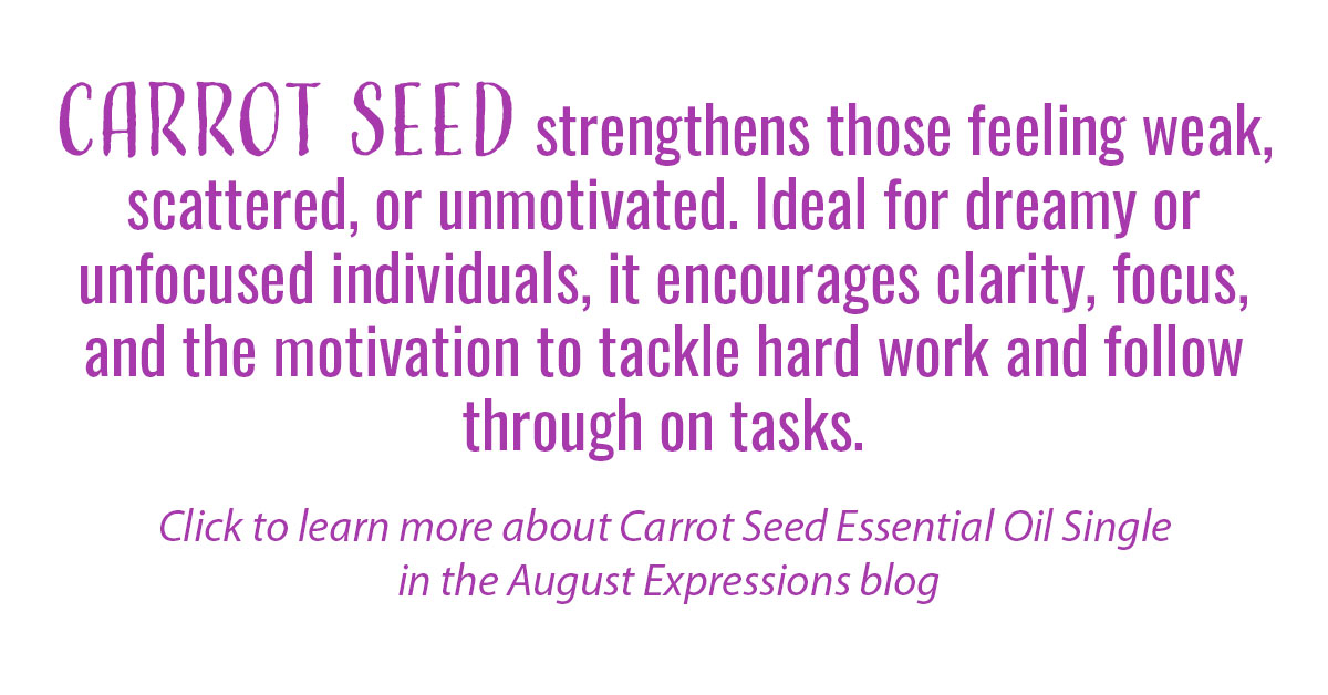 Carrot Seed Essential Oil Single Info