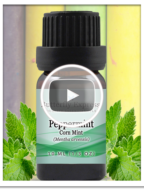 Peppermint Corn Mint Essential Oil Single