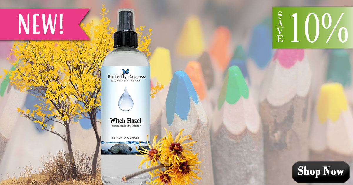 New Witch Hazel