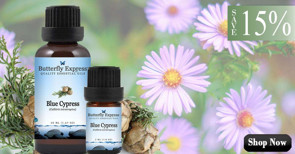 Blue Cypress Essential Oil Single
