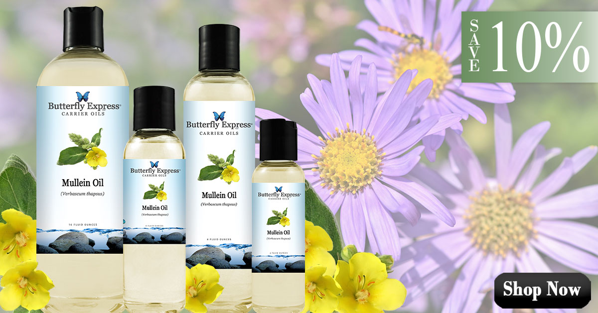 Mullein Carrier Oil