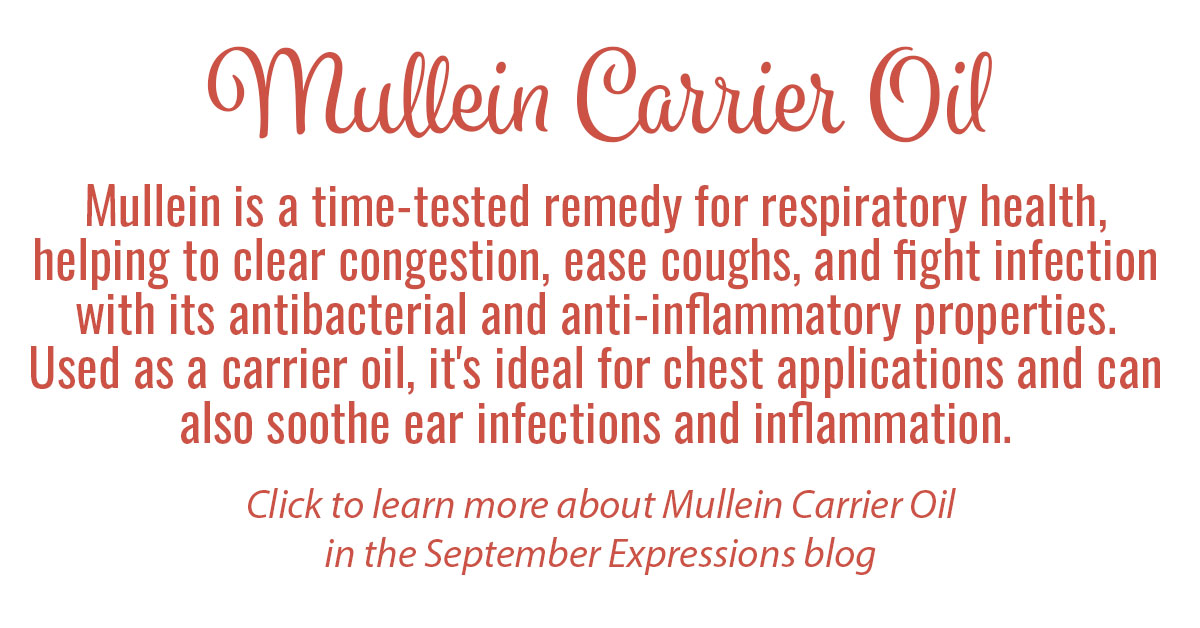 Mullein Carrier Oil Info