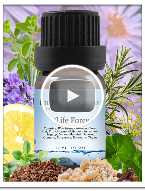 Life Force Essential Oil Single