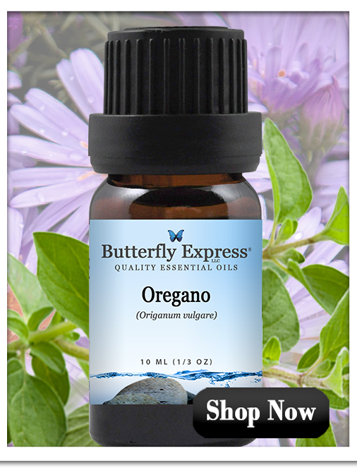 Oregano Essential Oil Single