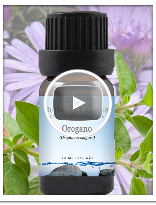 Oregano Essential Oil Single