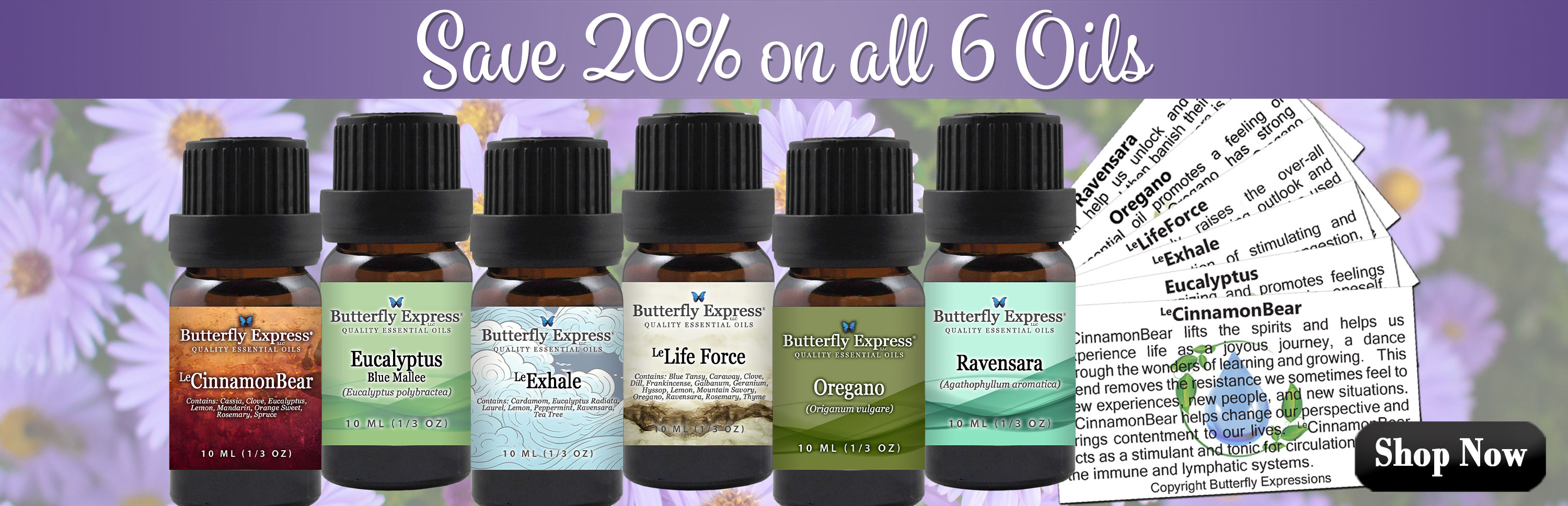 6 Oil Monthly Special