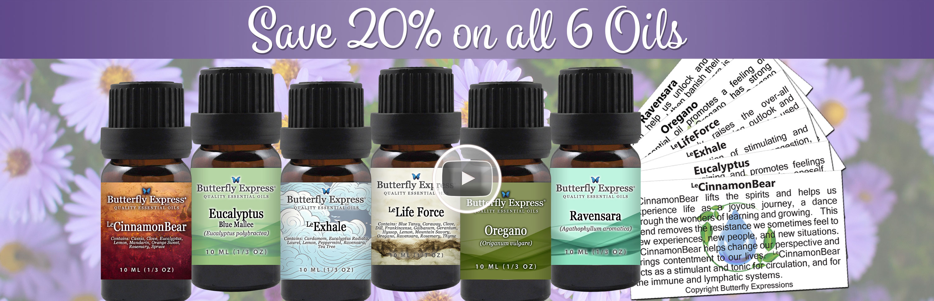 6 Oil Monthly Special