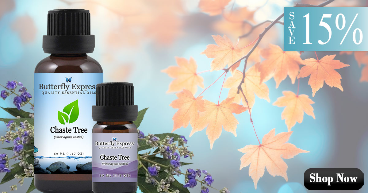 Chaste Tree Essential Oil Single