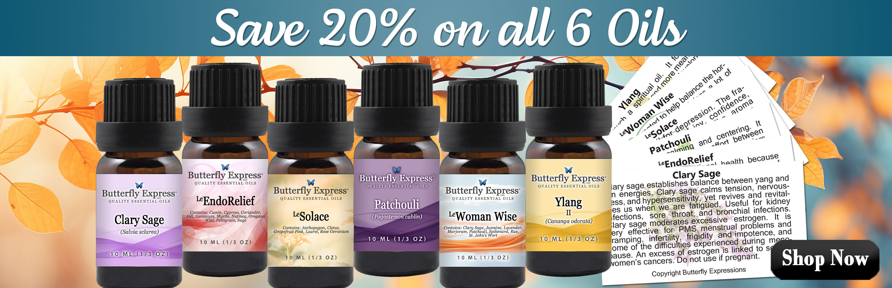 6 Oil Monthly Special