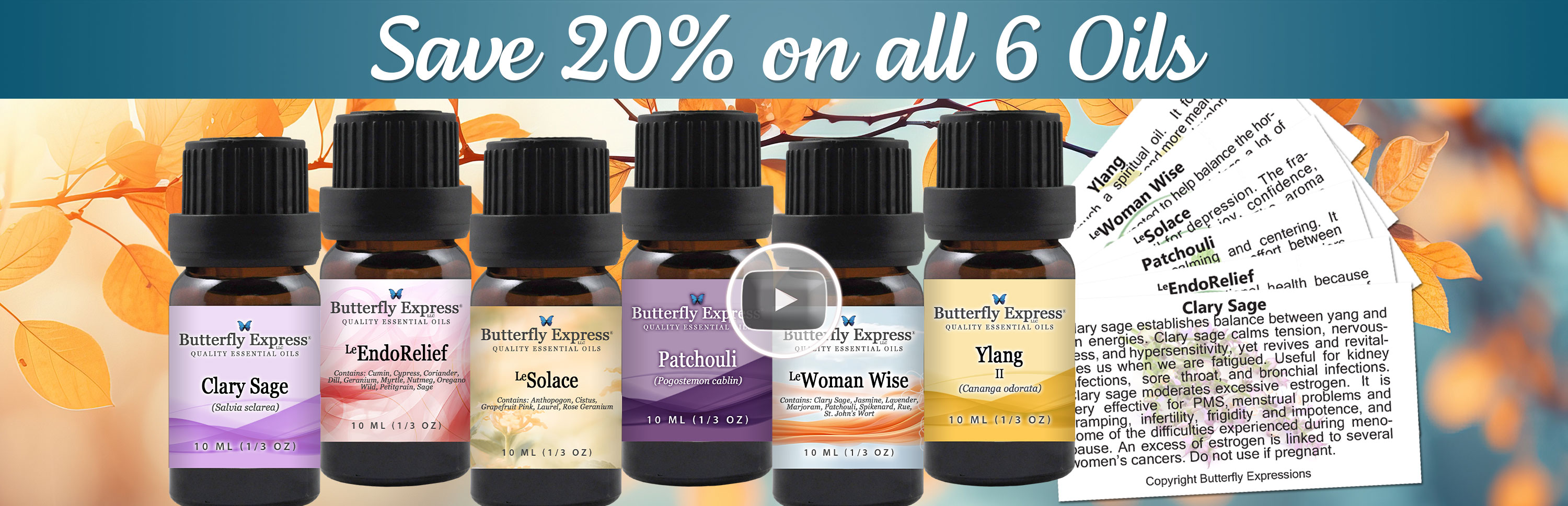6 Oil Monthly Special