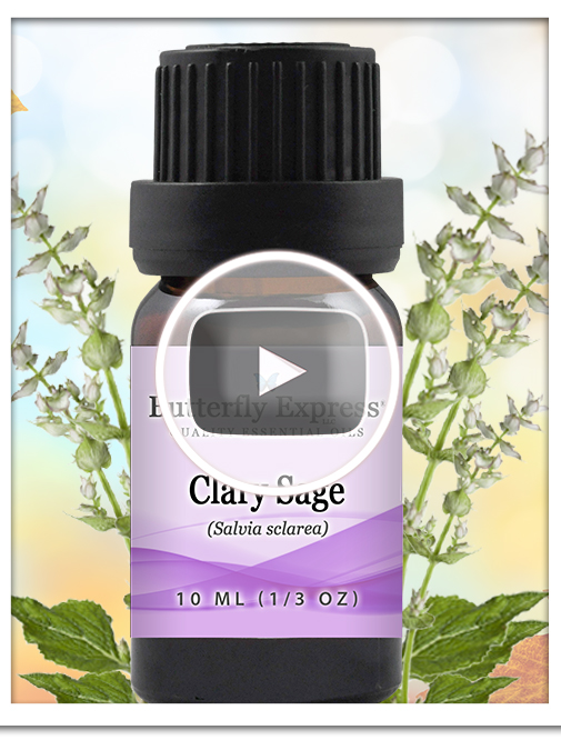Clary Sage Essential Oil Single