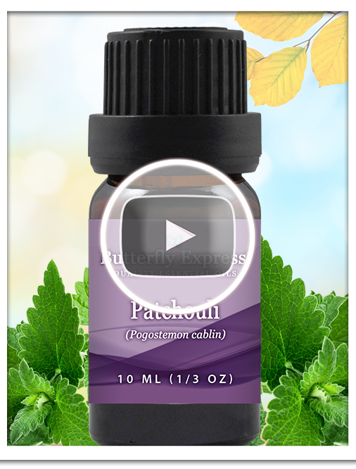 Patchouli Essential Oil Single
