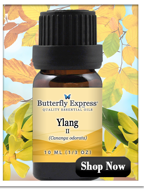Ylang II Essential Oil Single
